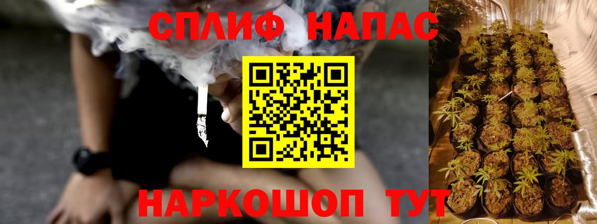 Бошки Шишки Ganja  Вход с VPN  Зима  Бошки Шишки Bruce Banner 